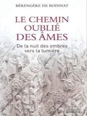 cover image of Le chemin oublié des âmes--De la nuit des ombres vers la lumière